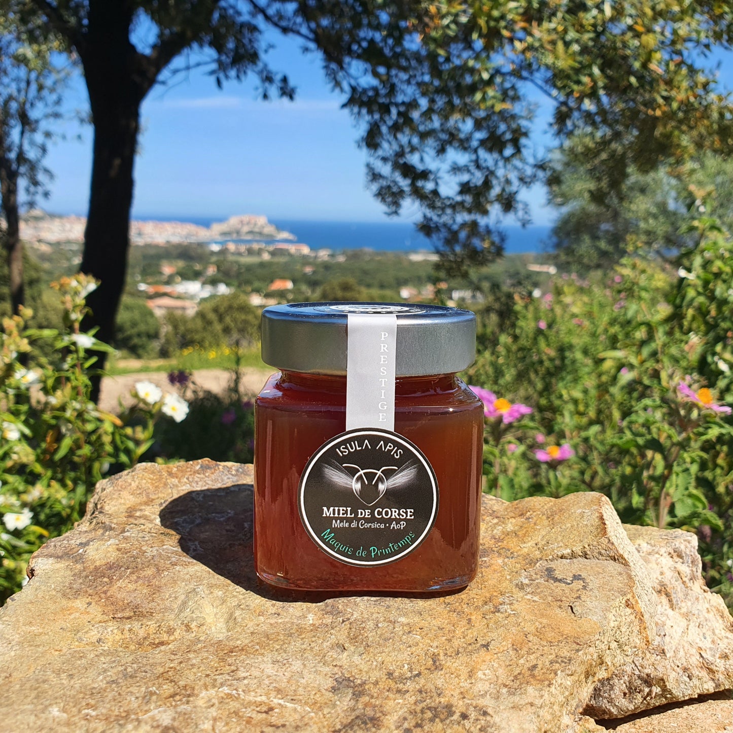 Miel de Maquis de Printemps