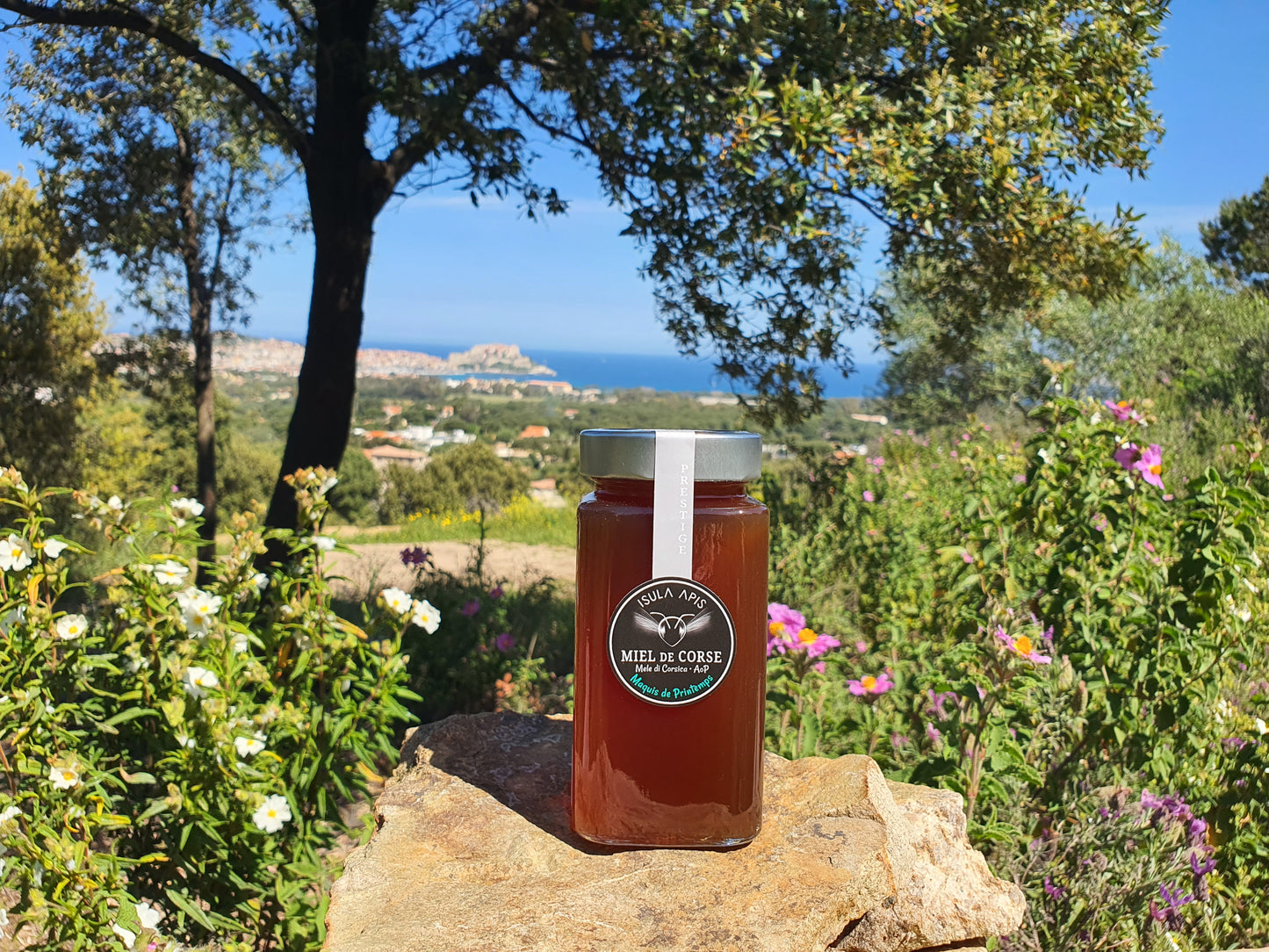 Miel de Maquis de Printemps