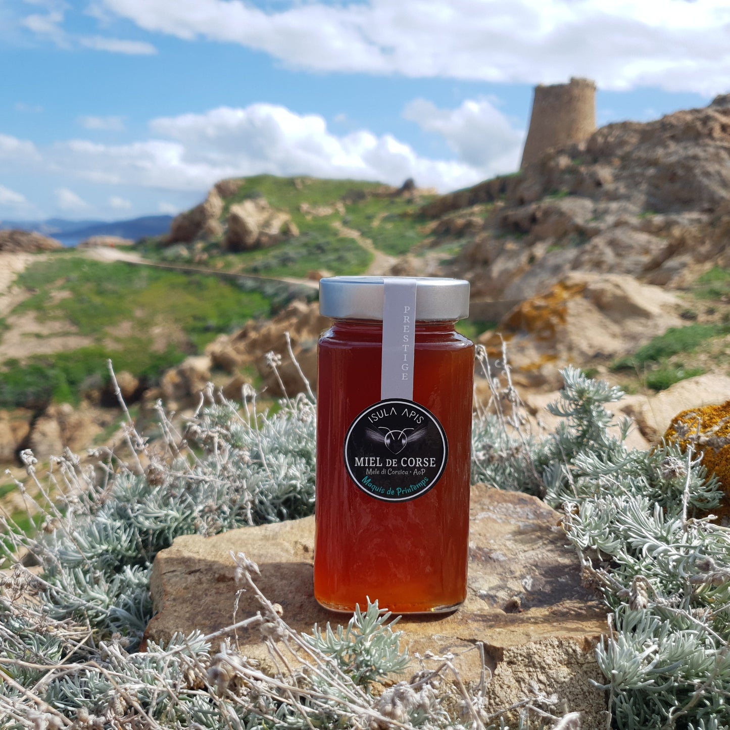 Miel de Maquis de Printemps