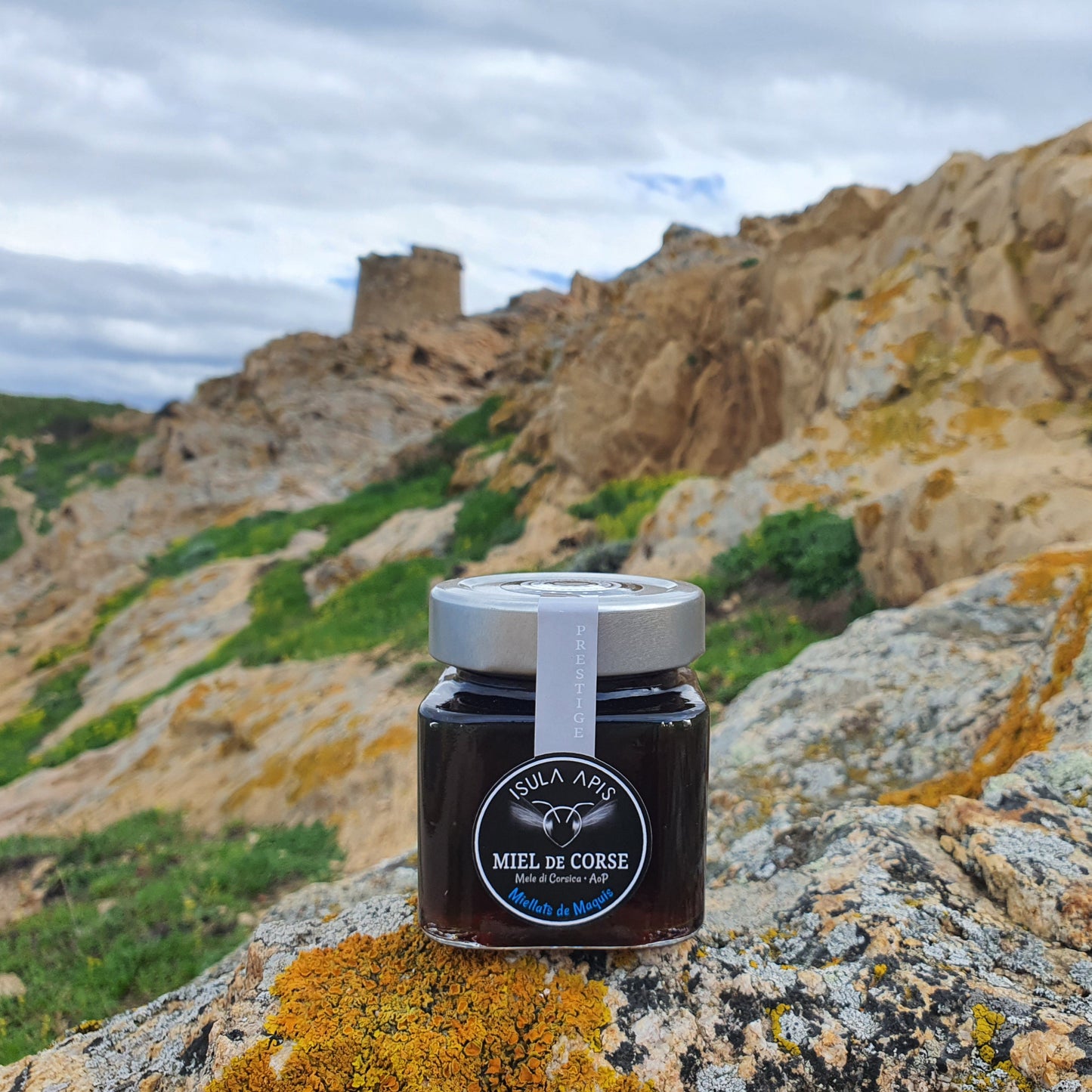 Miel de Miellat du Maquis