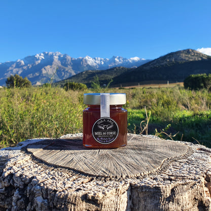 Miel de Miellat du Printemps