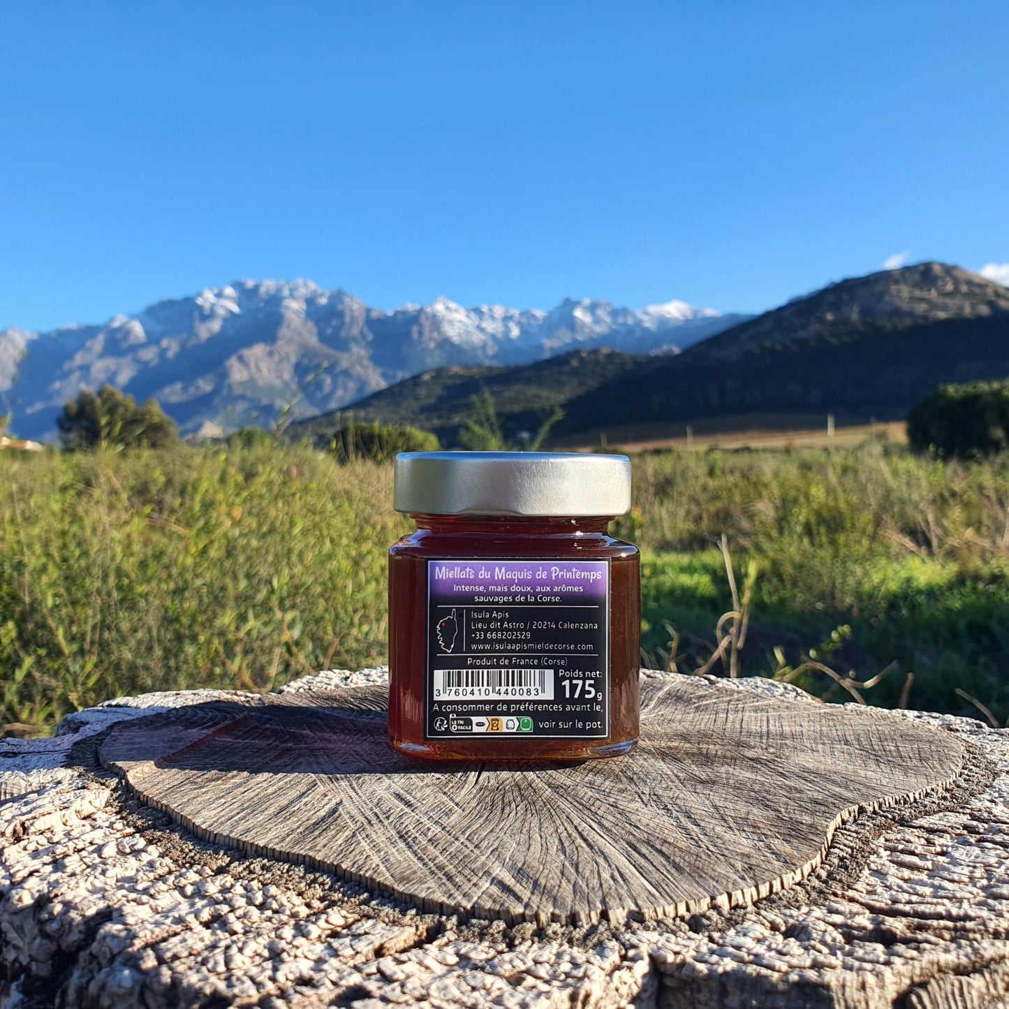 Miel de Miellat du Printemps