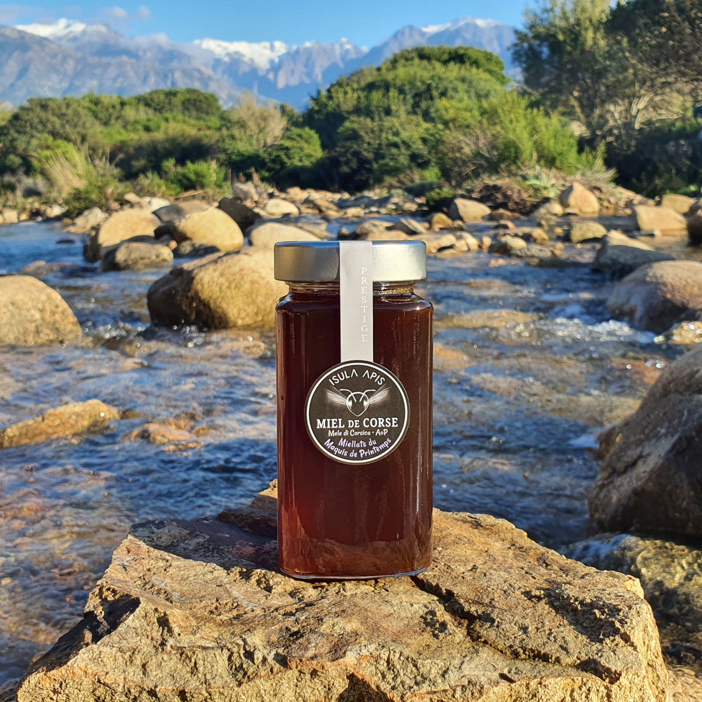 Miel de Miellat du Printemps