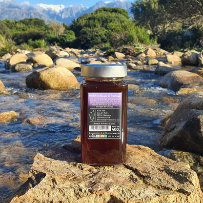 Miel de Miellat du Printemps