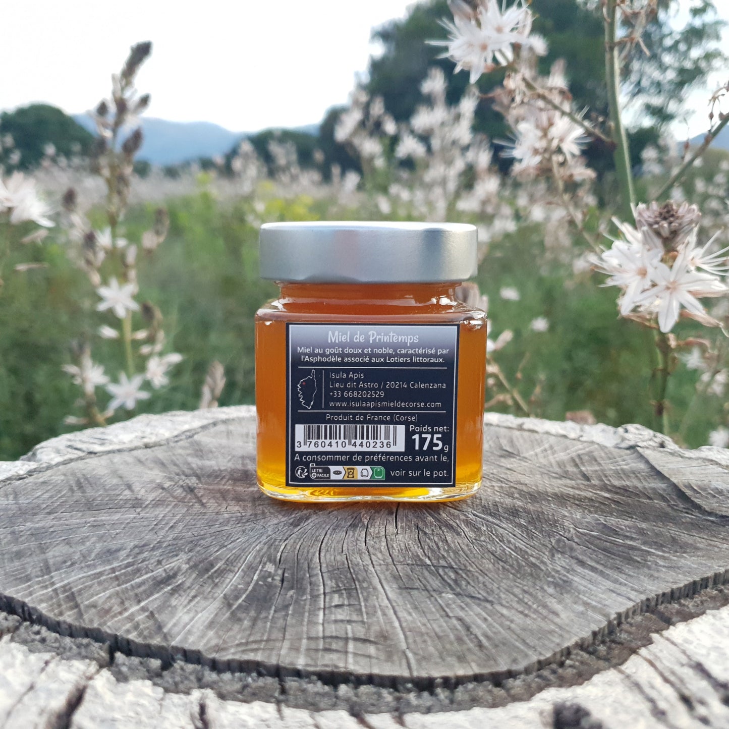 Miel de Printemps